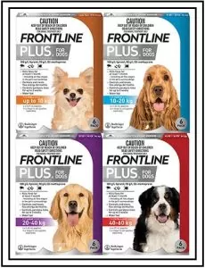 Frontline